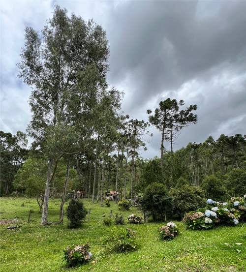 Imagem Institucional
