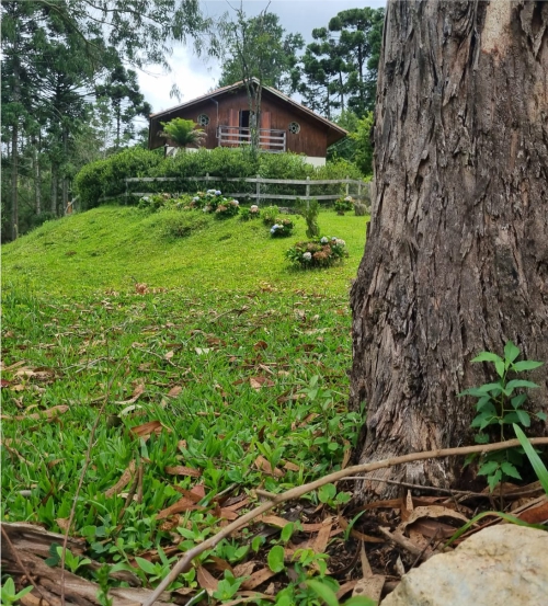 Imagem Institucional