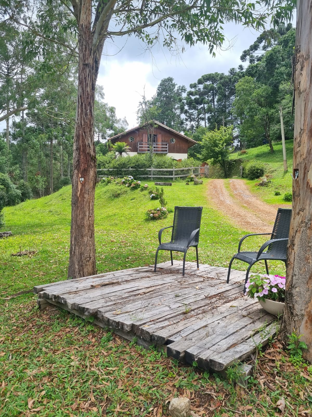 Imagem Institucional