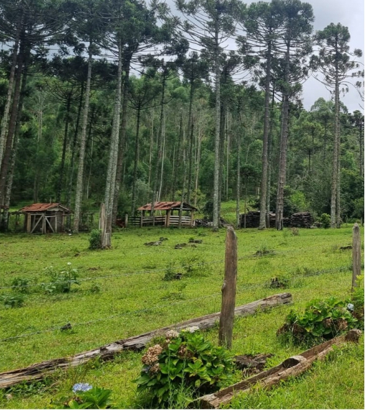 Fazendinha