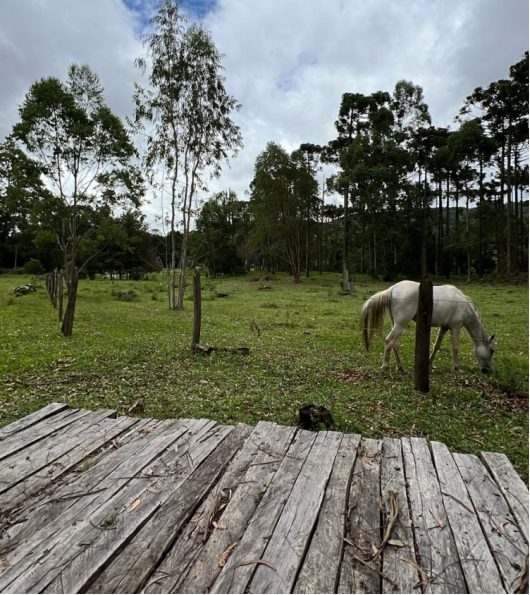 Fazendinha